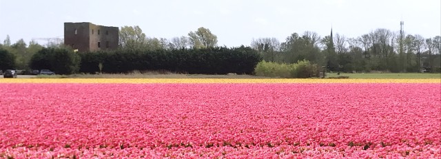 RuïneTeylingen.jpg